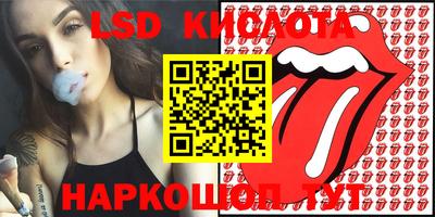 бошки Камышлов