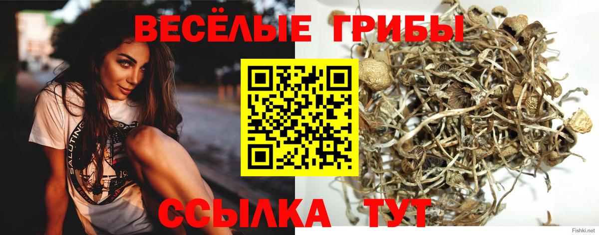 Псилоцибиновые грибы MAGIC MUSHROOMS Лесной